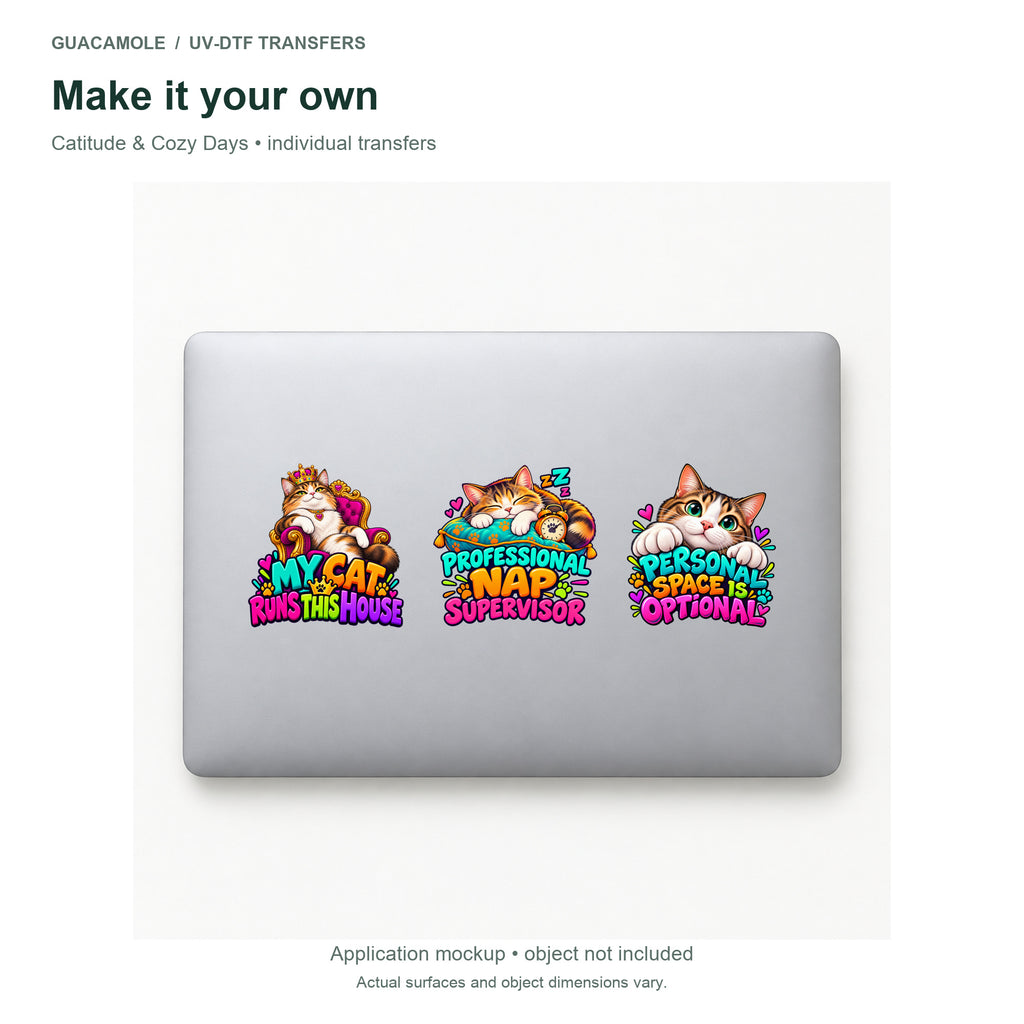Catitude & Cozy Days — Three designs on a laptop