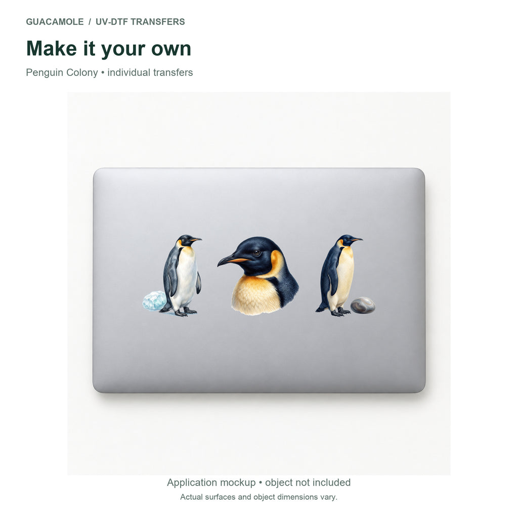 Penguin Colony — Three designs on a laptop