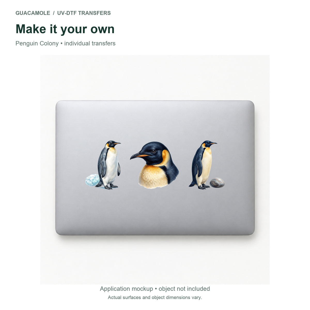 Penguin Colony — Three designs on a laptop