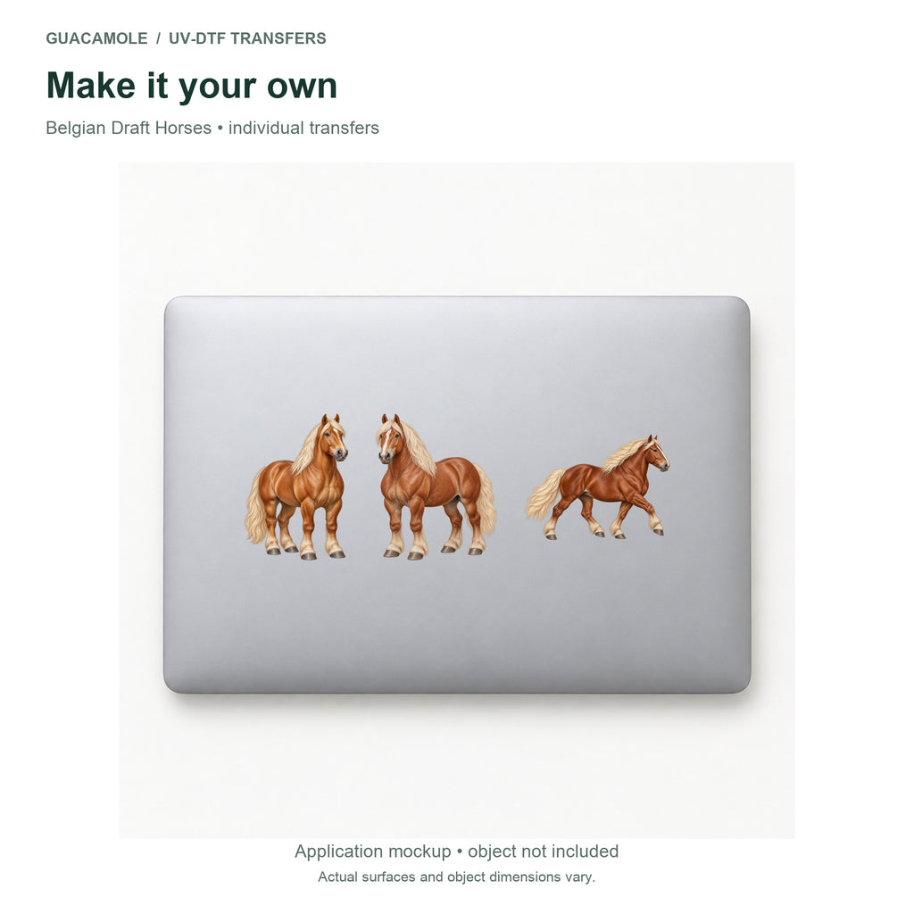 Belgian Draft Horses — Three designs on a laptop