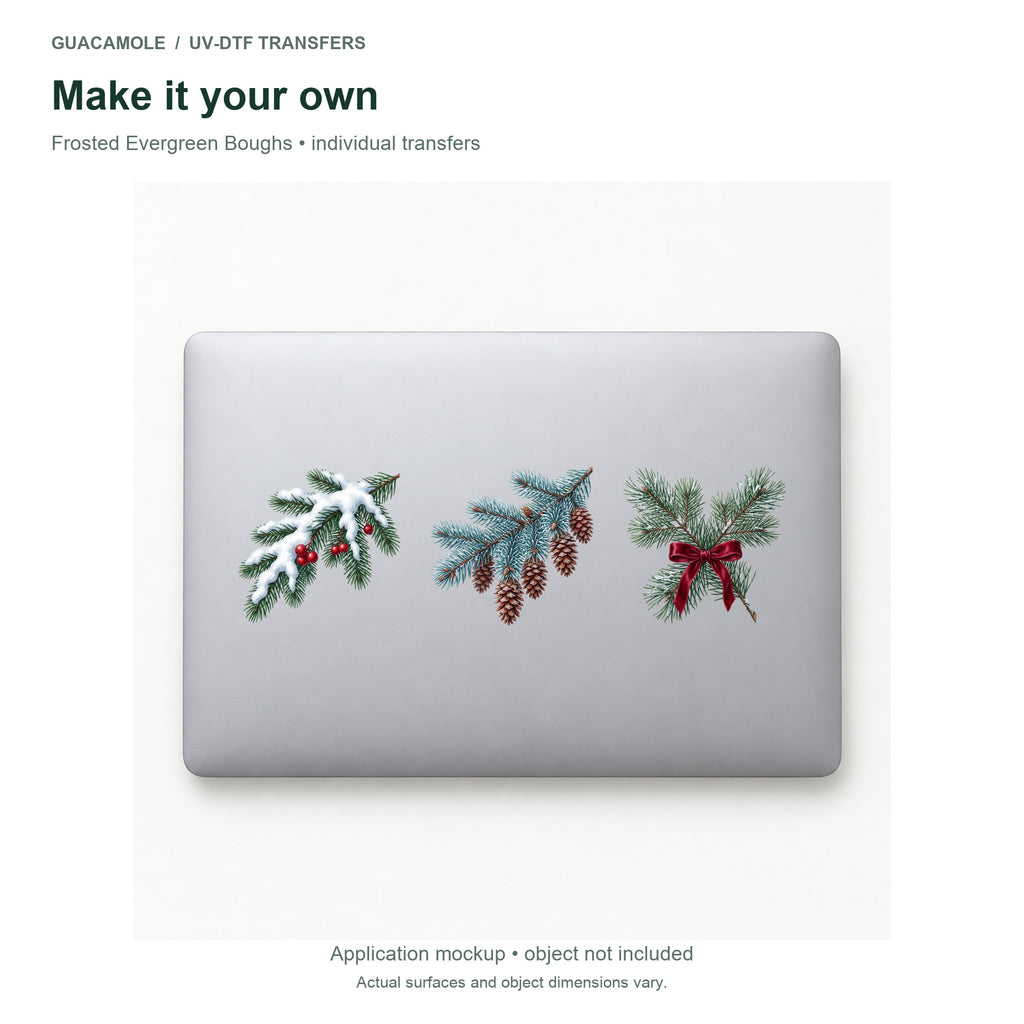 Frosted Evergreen Boughs — Three designs on a laptop