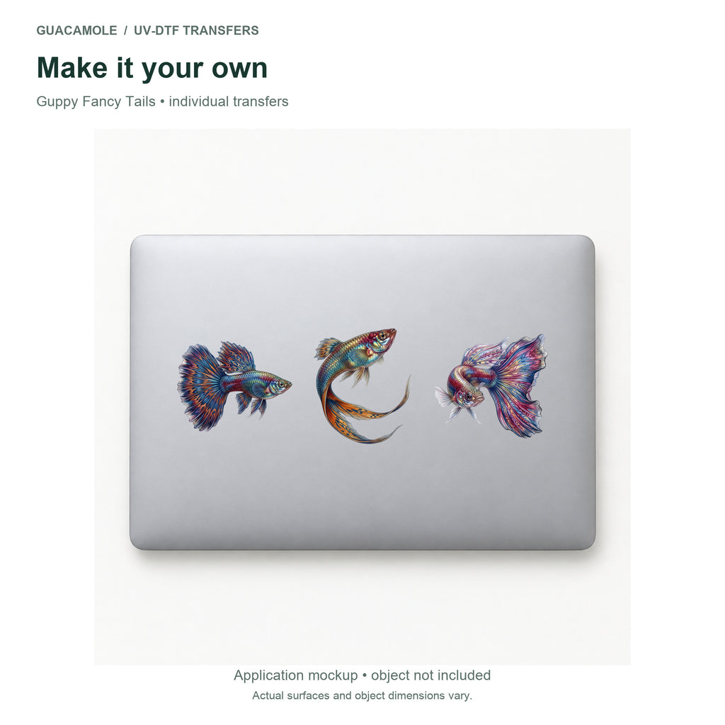 Guppy Fancy Tails — Three designs on a laptop