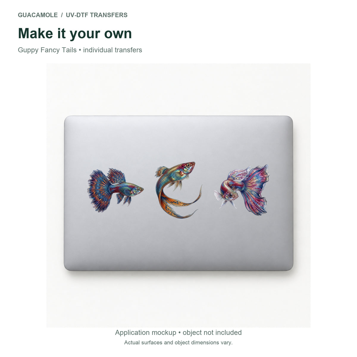 Guppy Fancy Tails — Three designs on a laptop