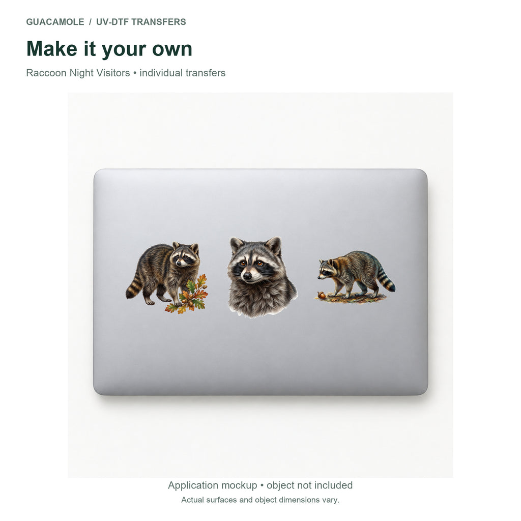 Raccoon Night Visitors — Three designs on a laptop