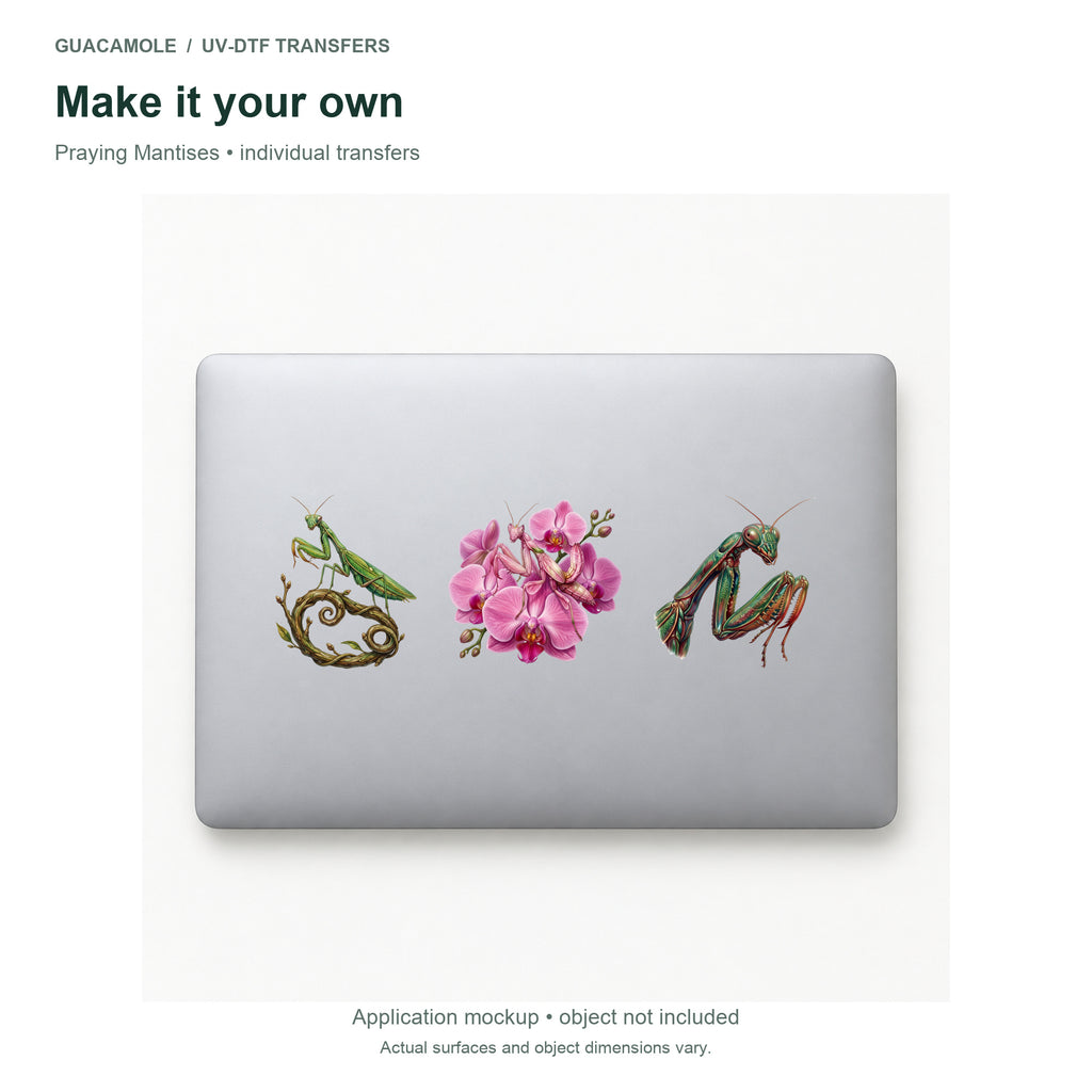 Praying Mantises — Three designs on a laptop