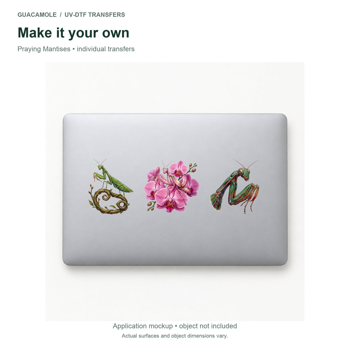 Praying Mantises — Three designs on a laptop