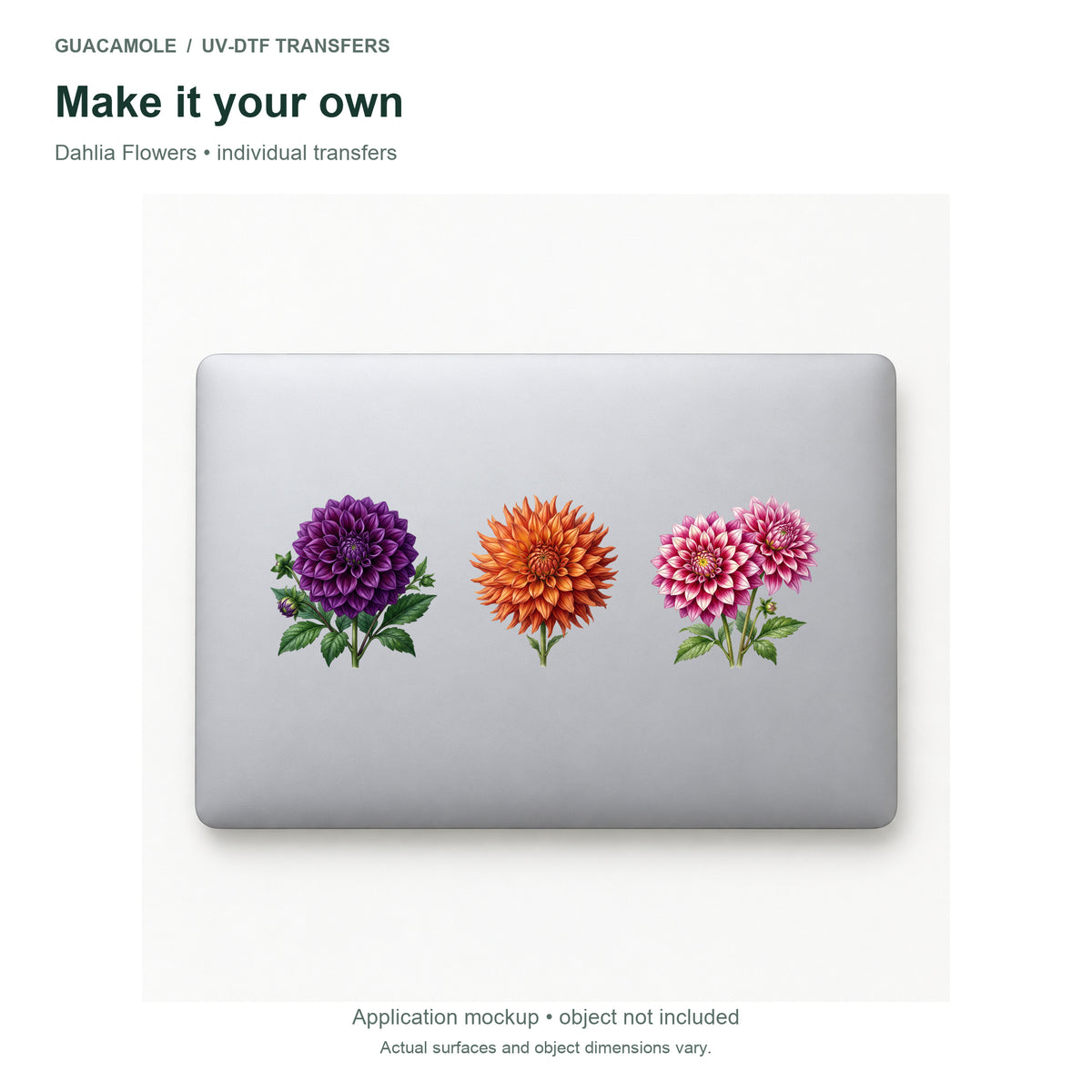Dahlia Flowers — Three designs on a laptop