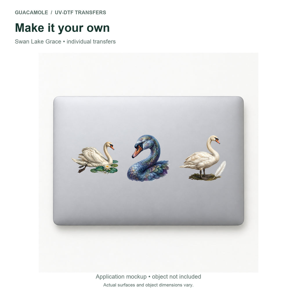 Swan Lake Grace — Three designs on a laptop
