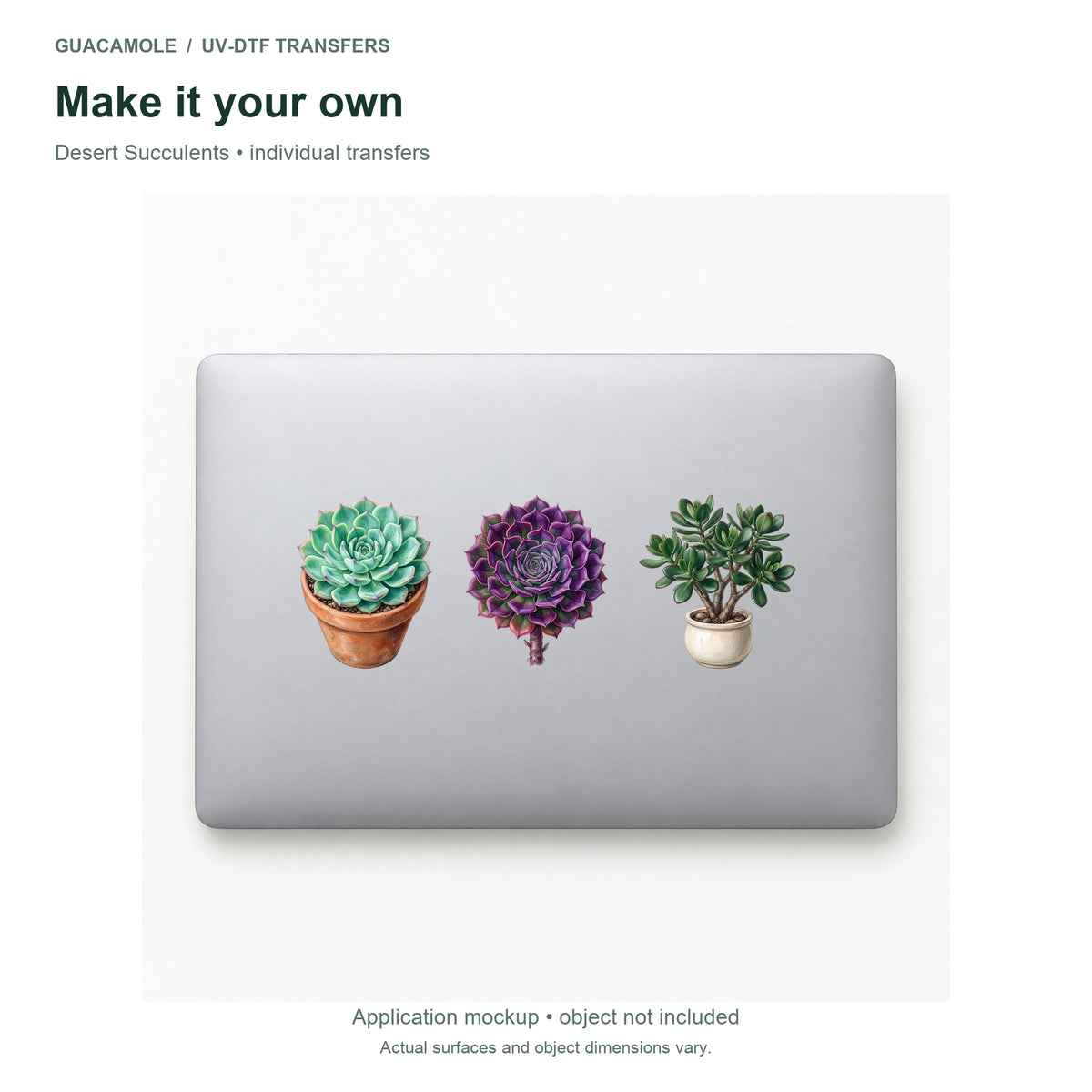 Desert Succulents — Three designs on a laptop