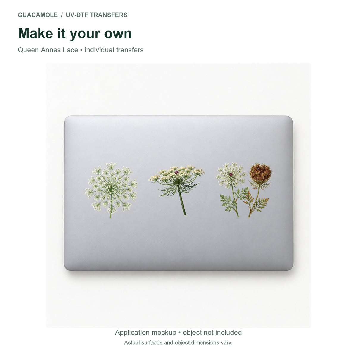Queen Annes Lace — Three designs on a laptop