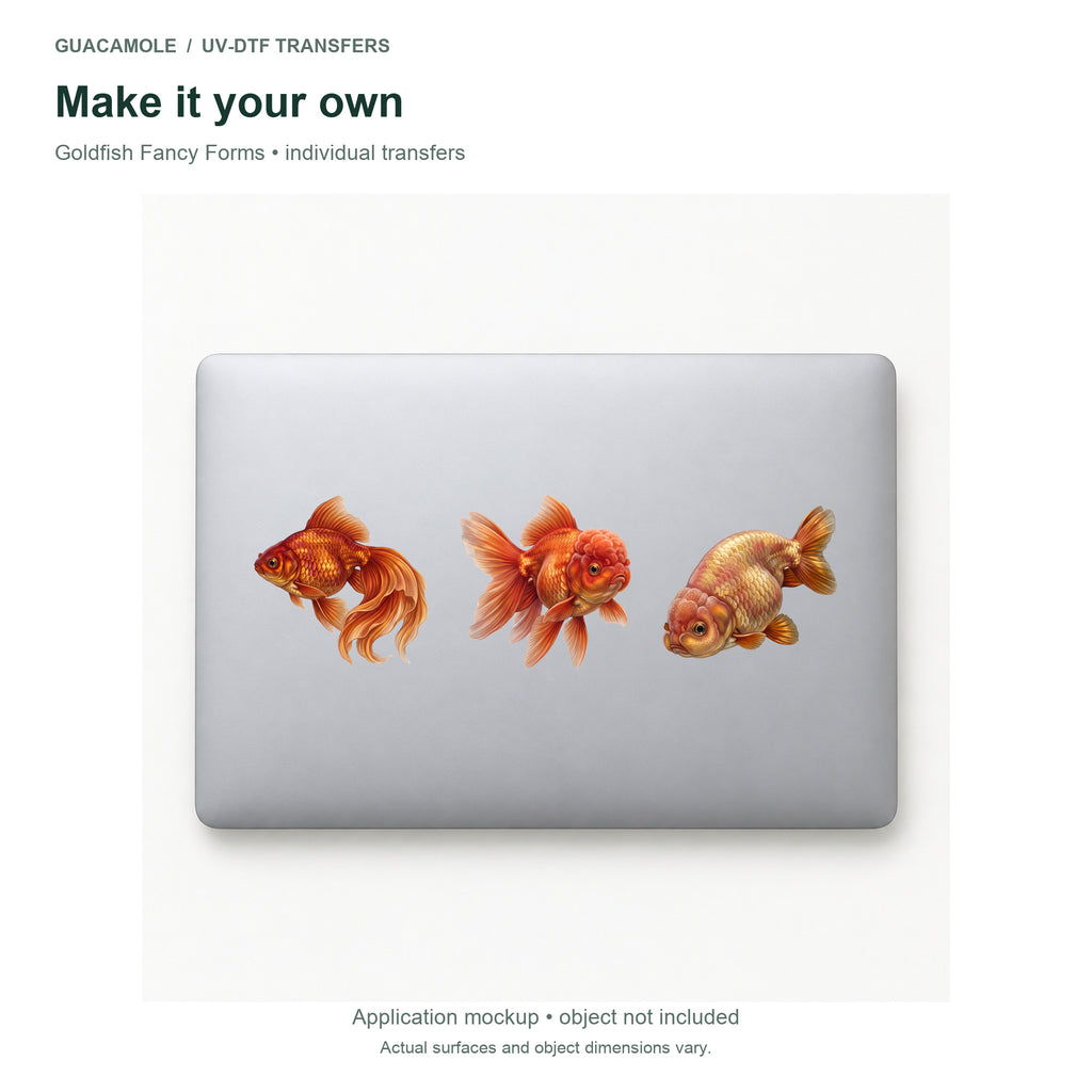 Goldfish Fancy Forms — Three designs on a laptop