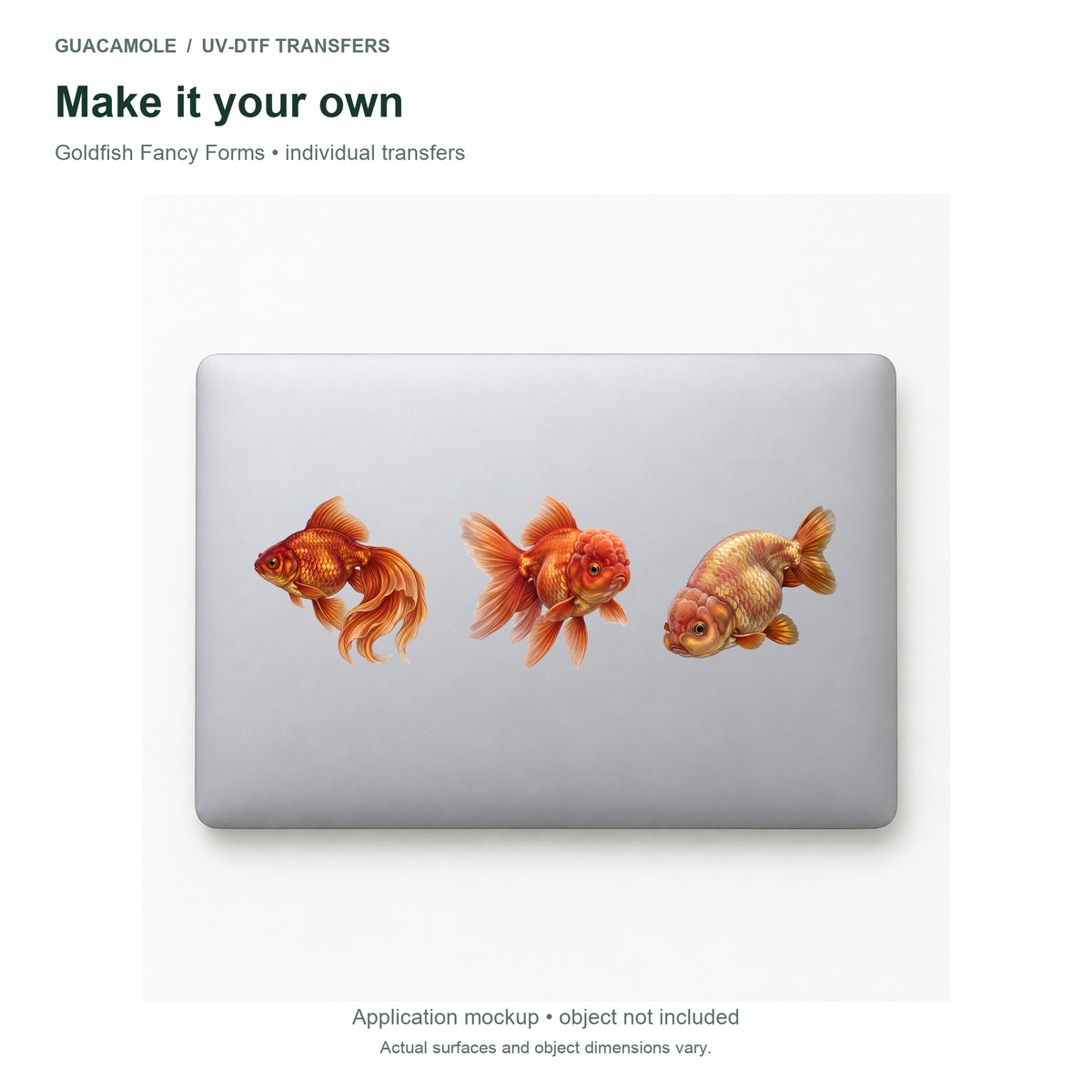 Goldfish Fancy Forms — Three designs on a laptop