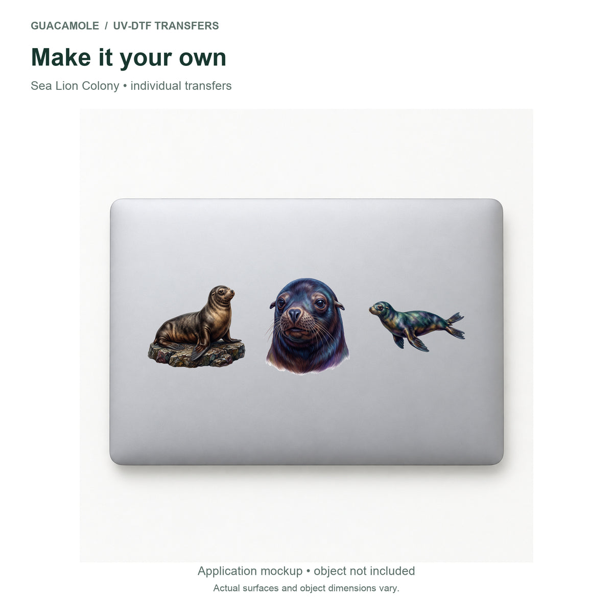 Sea Lion Colony — Three designs on a laptop