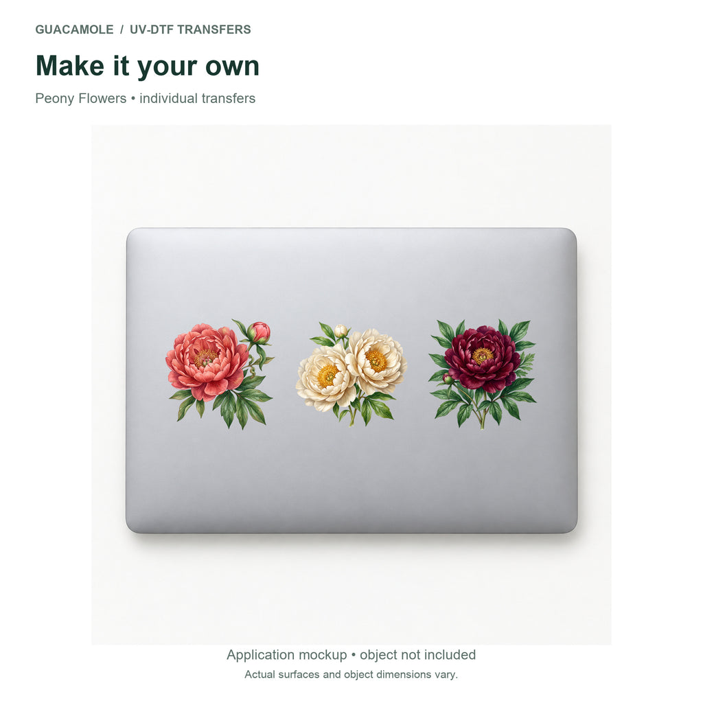 Peony Flowers — Three designs on a laptop