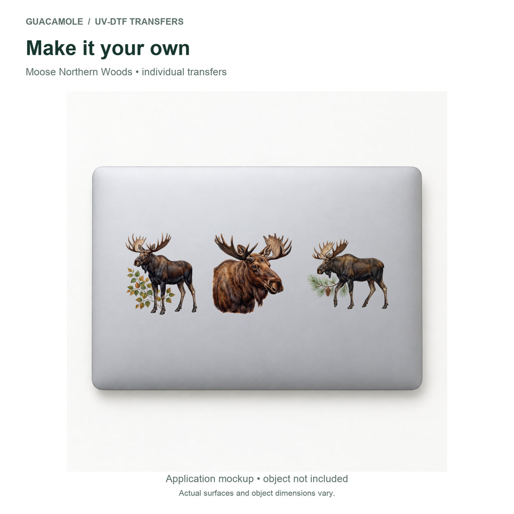 Moose Northern Woods — Three designs on a laptop