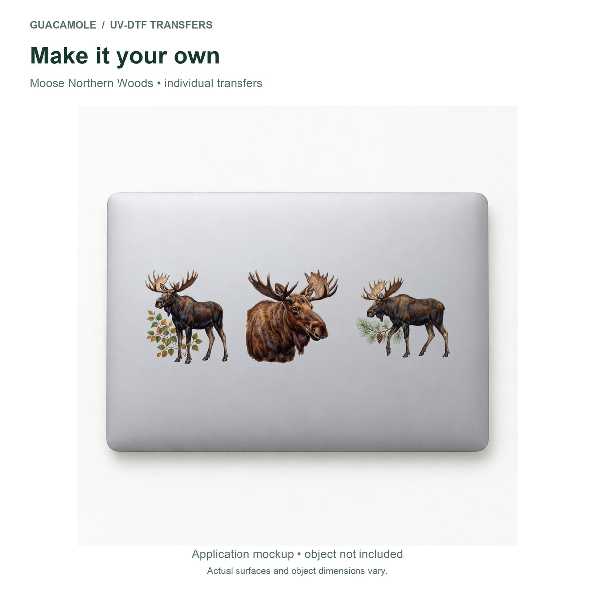 Moose Northern Woods — Three designs on a laptop