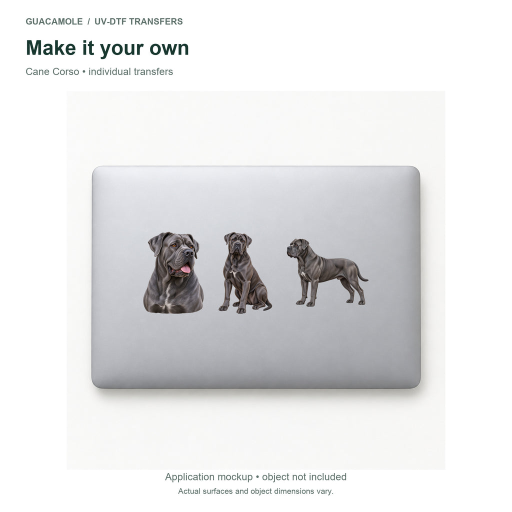 Cane Corso — Three designs on a laptop