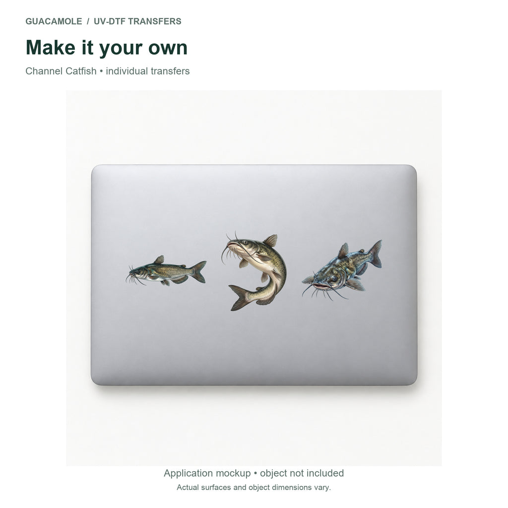Channel Catfish — Three designs on a laptop