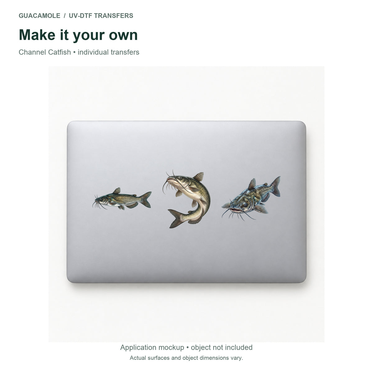 Channel Catfish — Three designs on a laptop