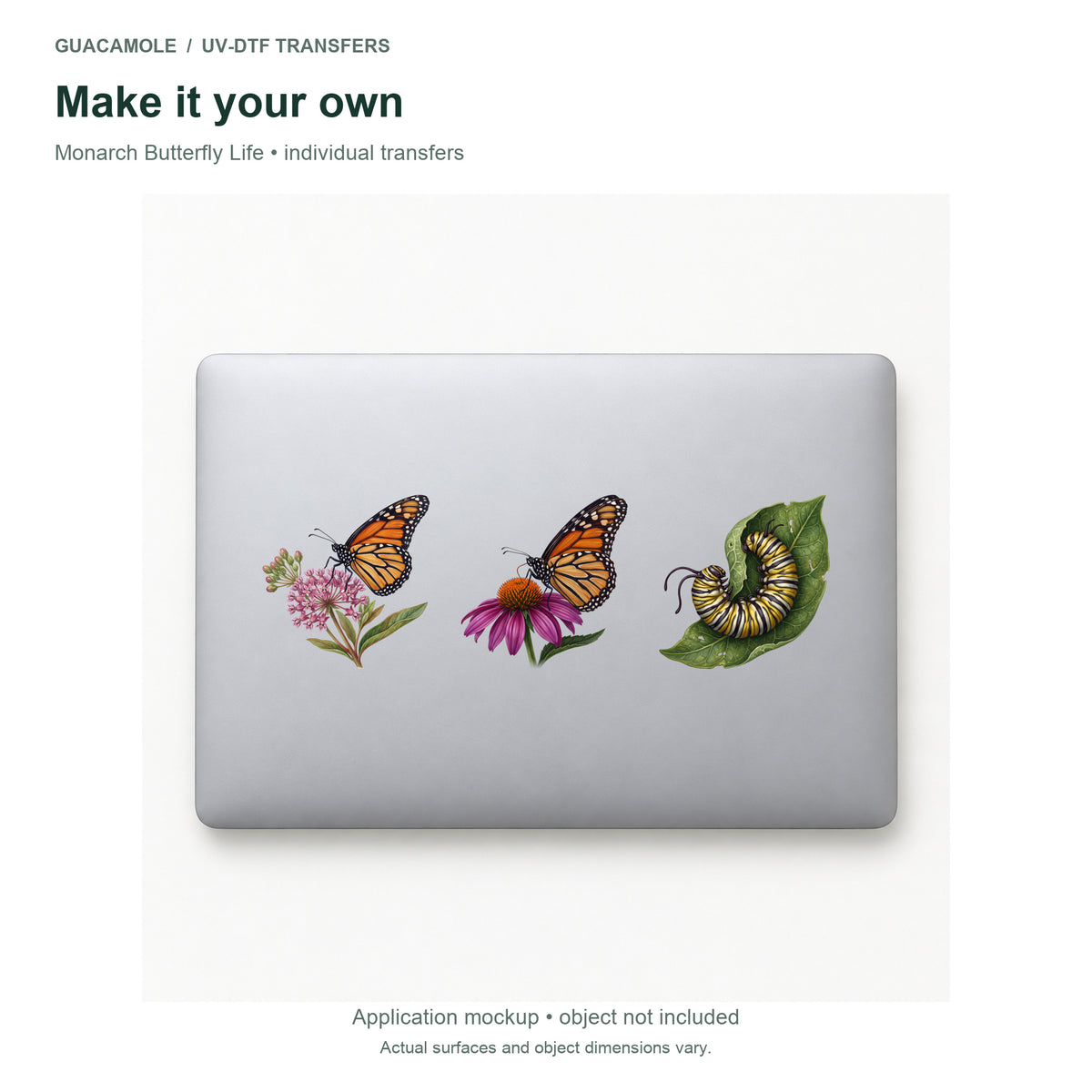 Monarch Butterfly Life — Three designs on a laptop