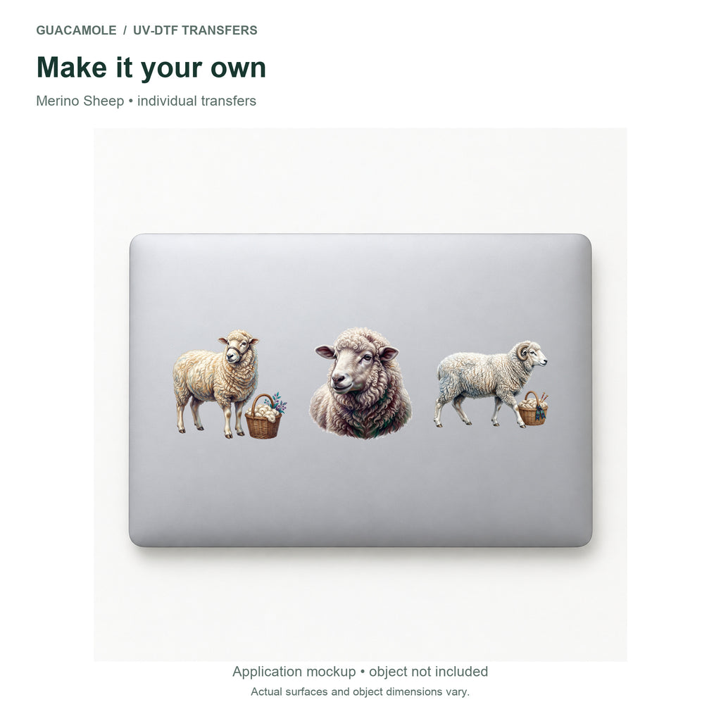 Merino Sheep — Three designs on a laptop