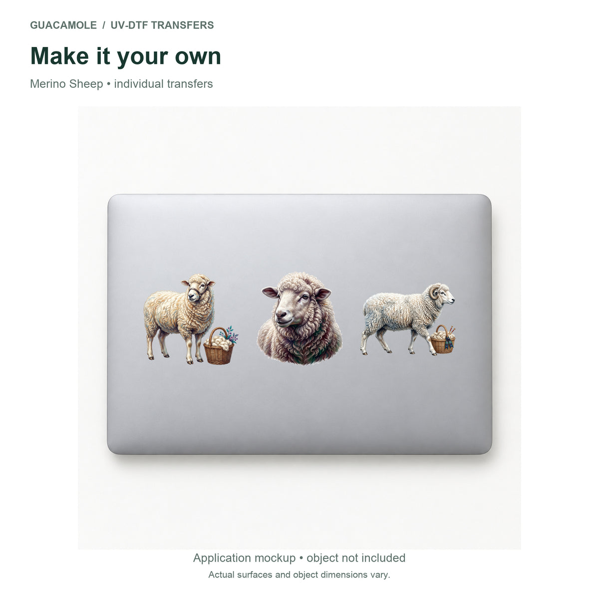 Merino Sheep — Three designs on a laptop