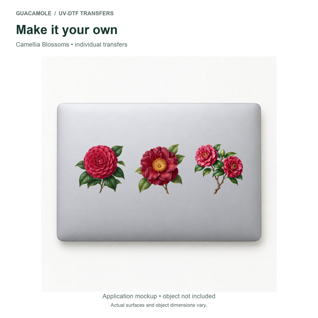 Camellia Blossoms — Three designs on a laptop