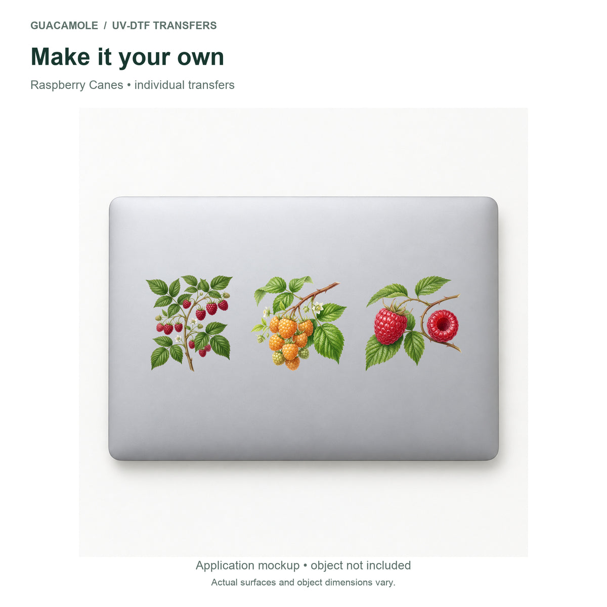 Raspberry Canes — Three designs on a laptop