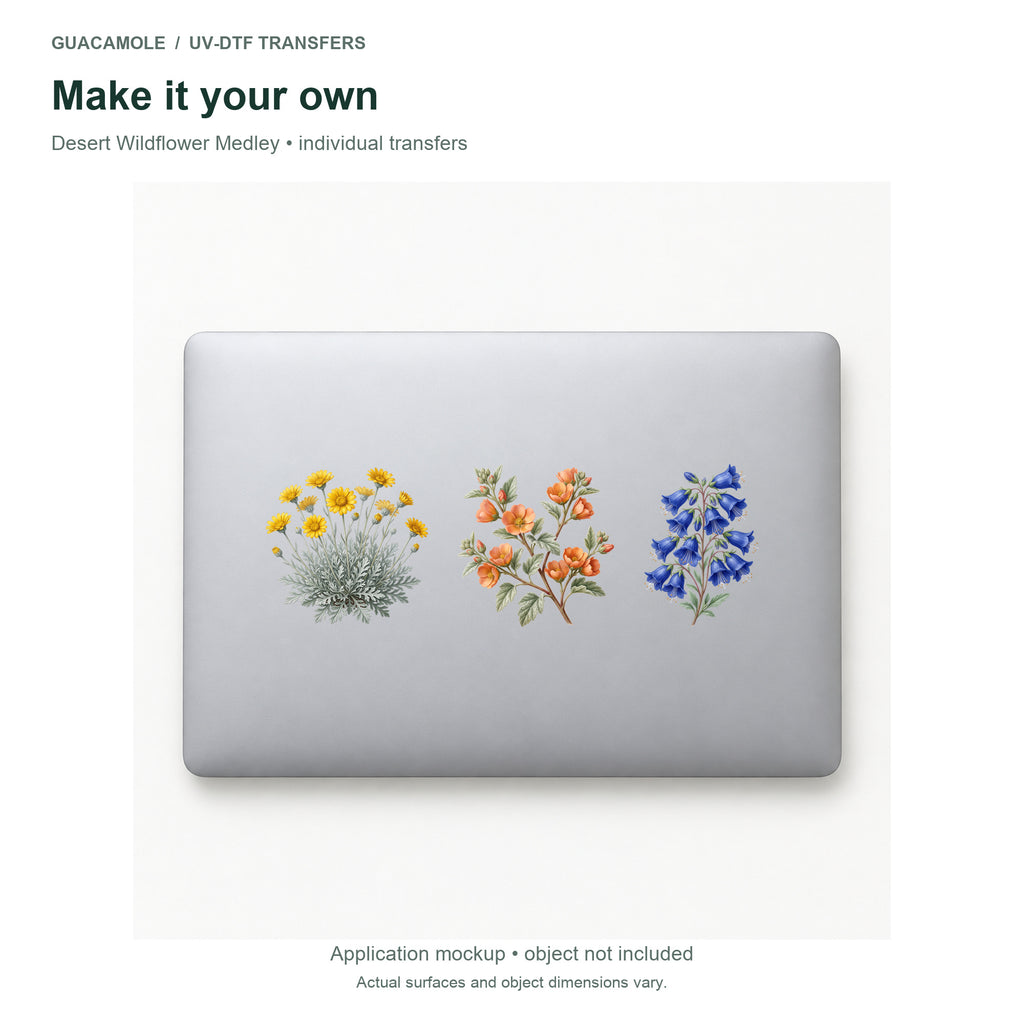 Desert Wildflower Medley — Three designs on a laptop