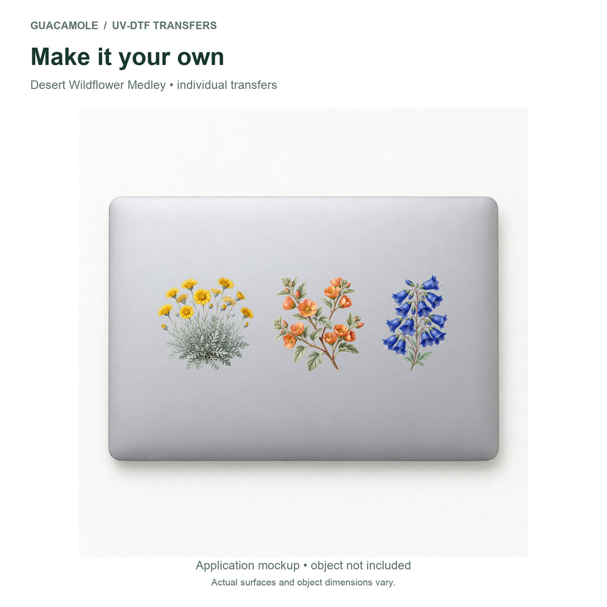 Desert Wildflower Medley — Three designs on a laptop