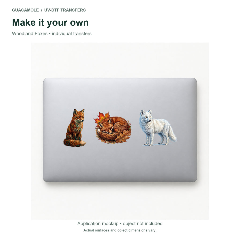 Woodland Foxes — Three designs on a laptop