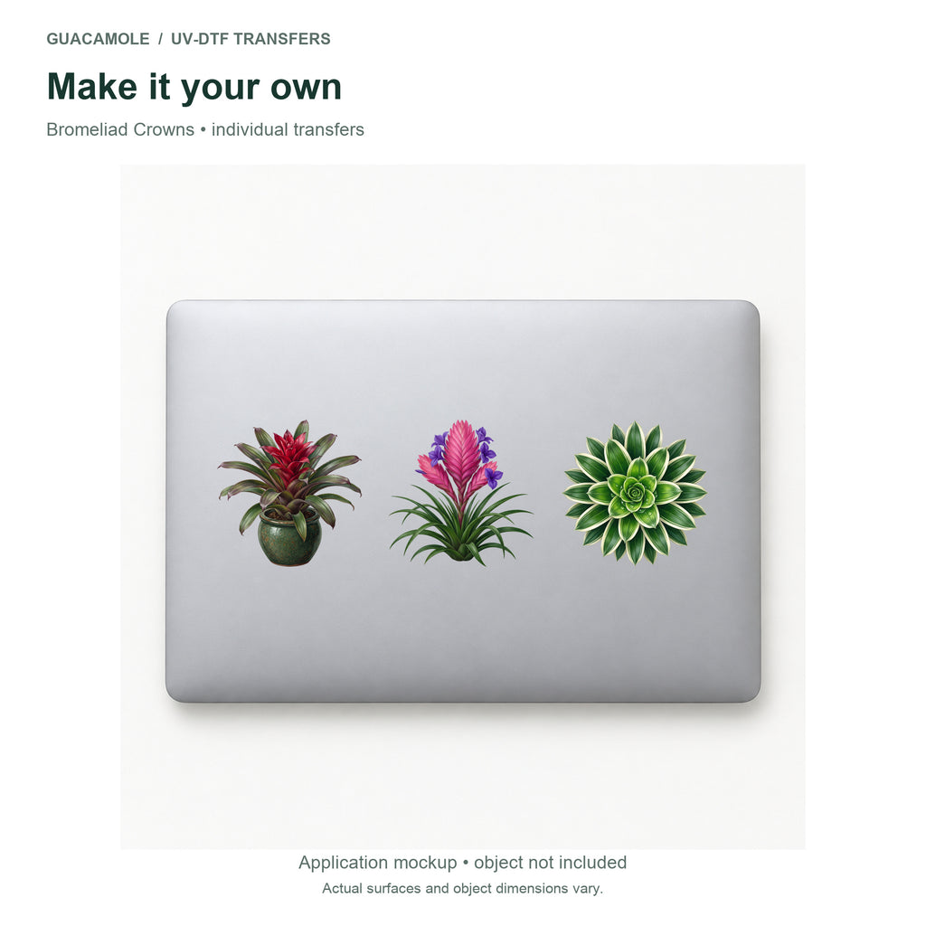 Bromeliad Crowns — Three designs on a laptop