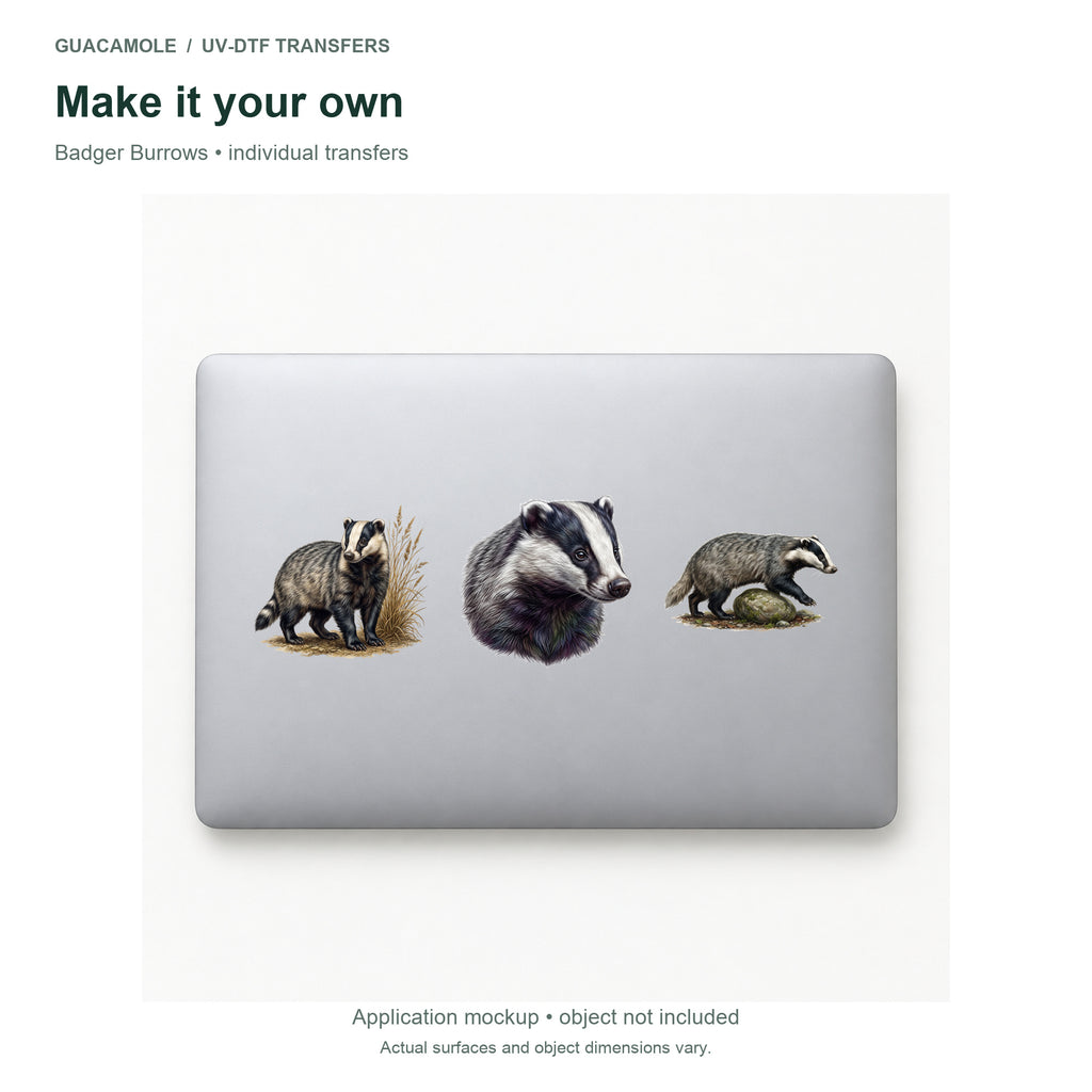 Badger Burrows — Three designs on a laptop