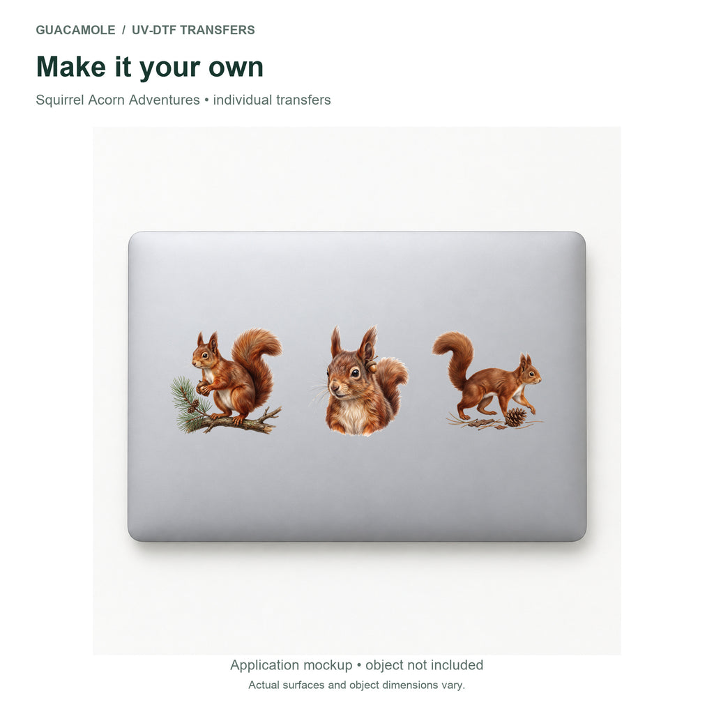 Squirrel Acorn Adventures — Three designs on a laptop