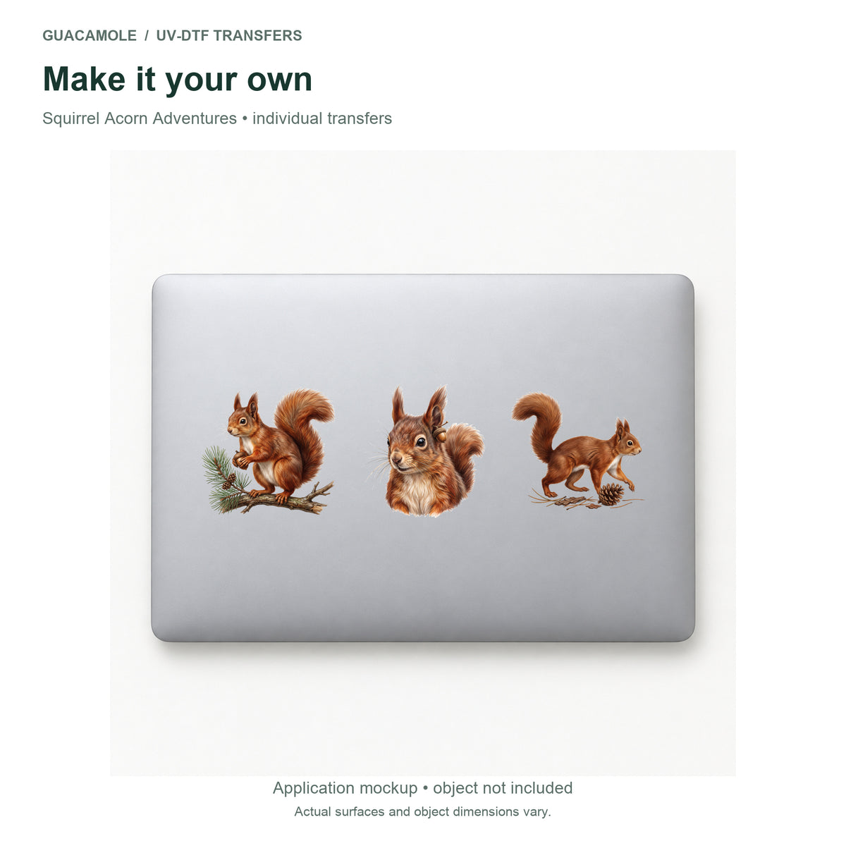 Squirrel Acorn Adventures — Three designs on a laptop