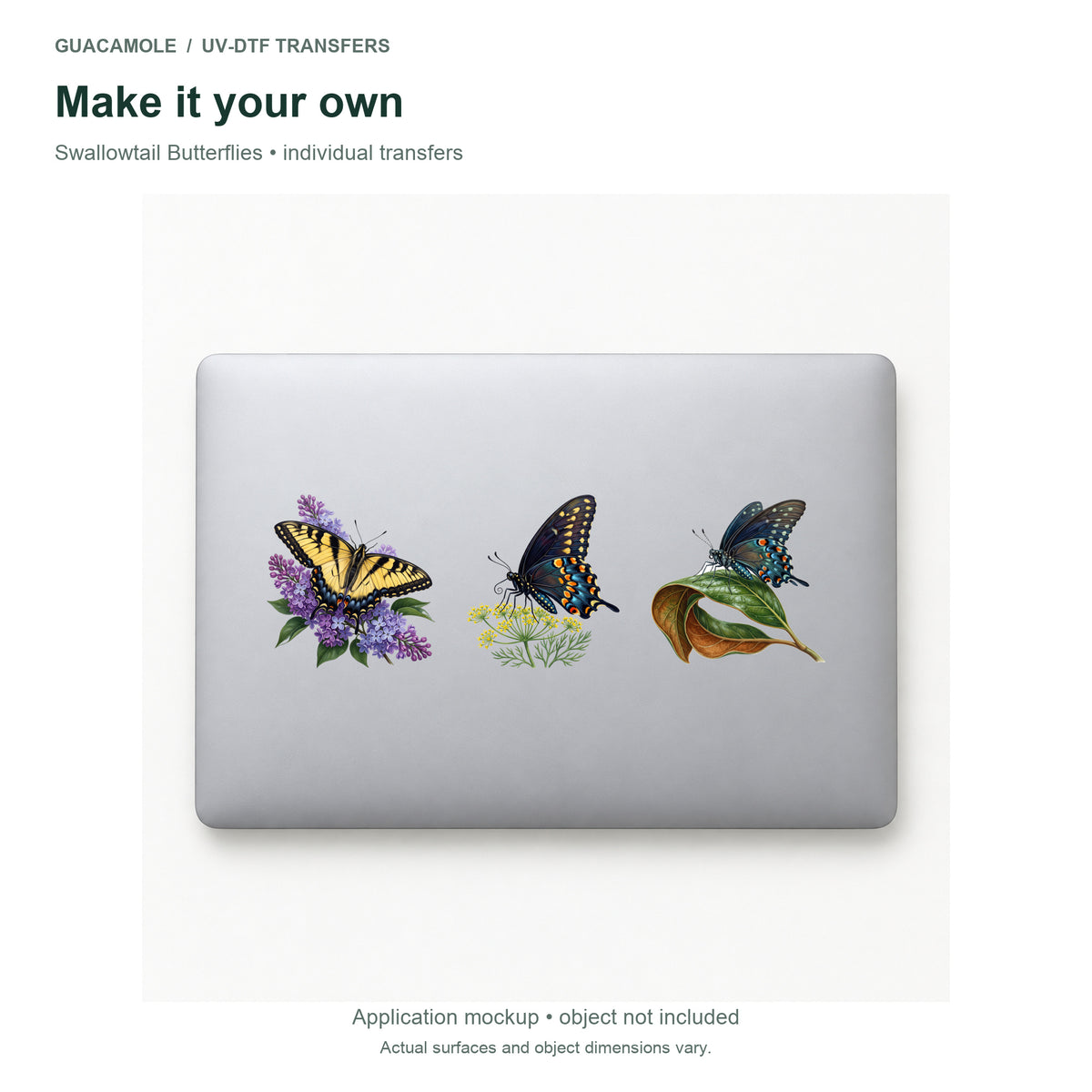 Swallowtail Butterflies — Three designs on a laptop