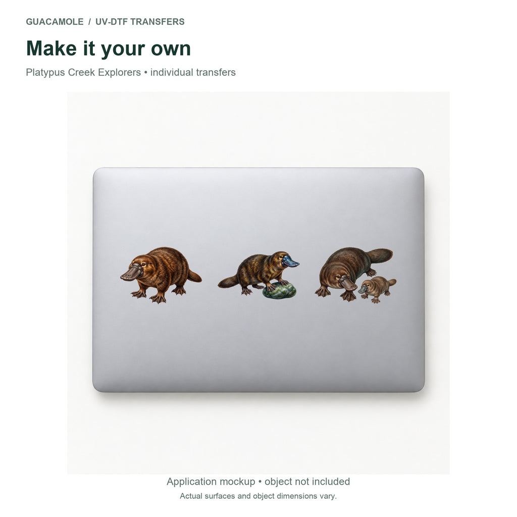 Platypus Creek Explorers — Three designs on a laptop