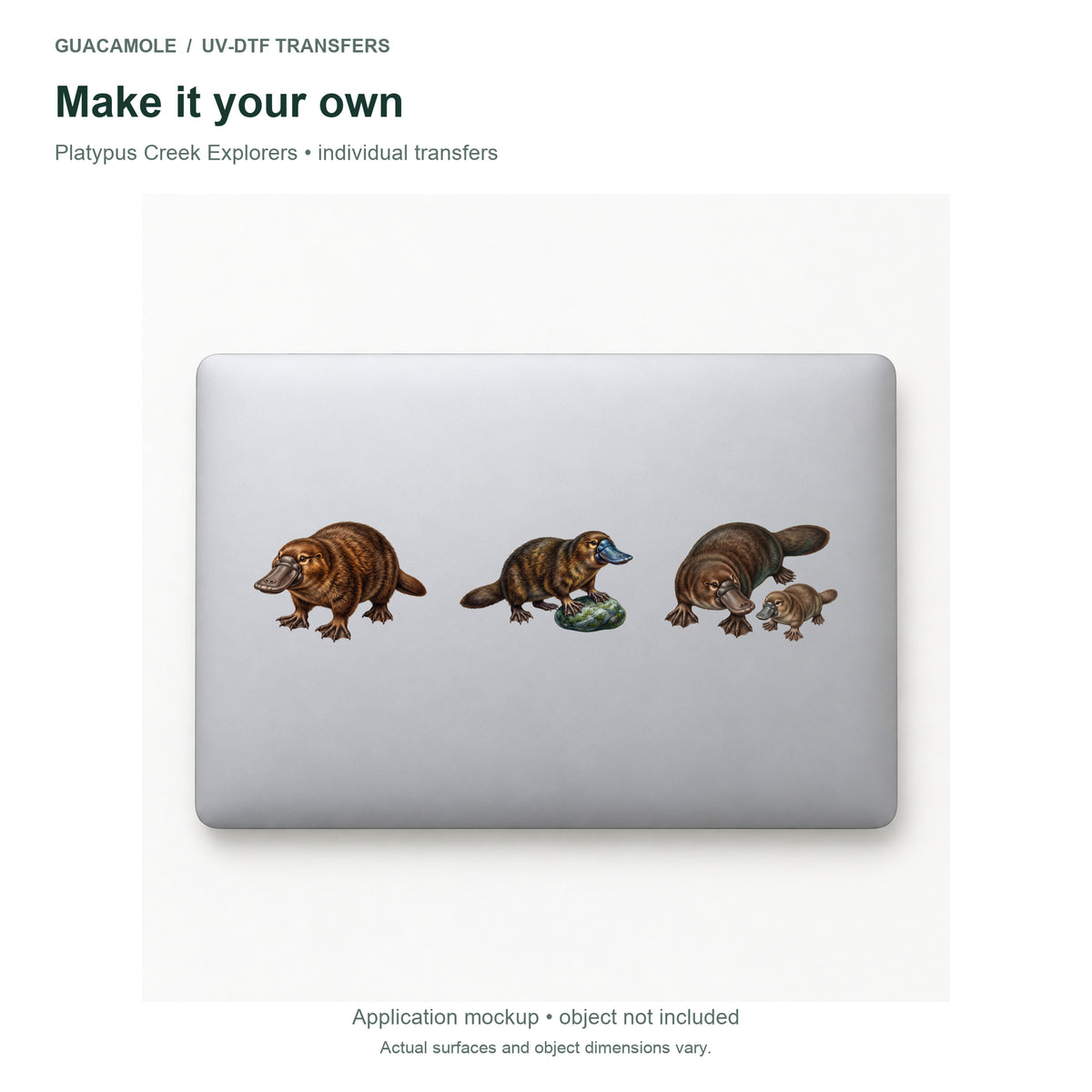 Platypus Creek Explorers — Three designs on a laptop
