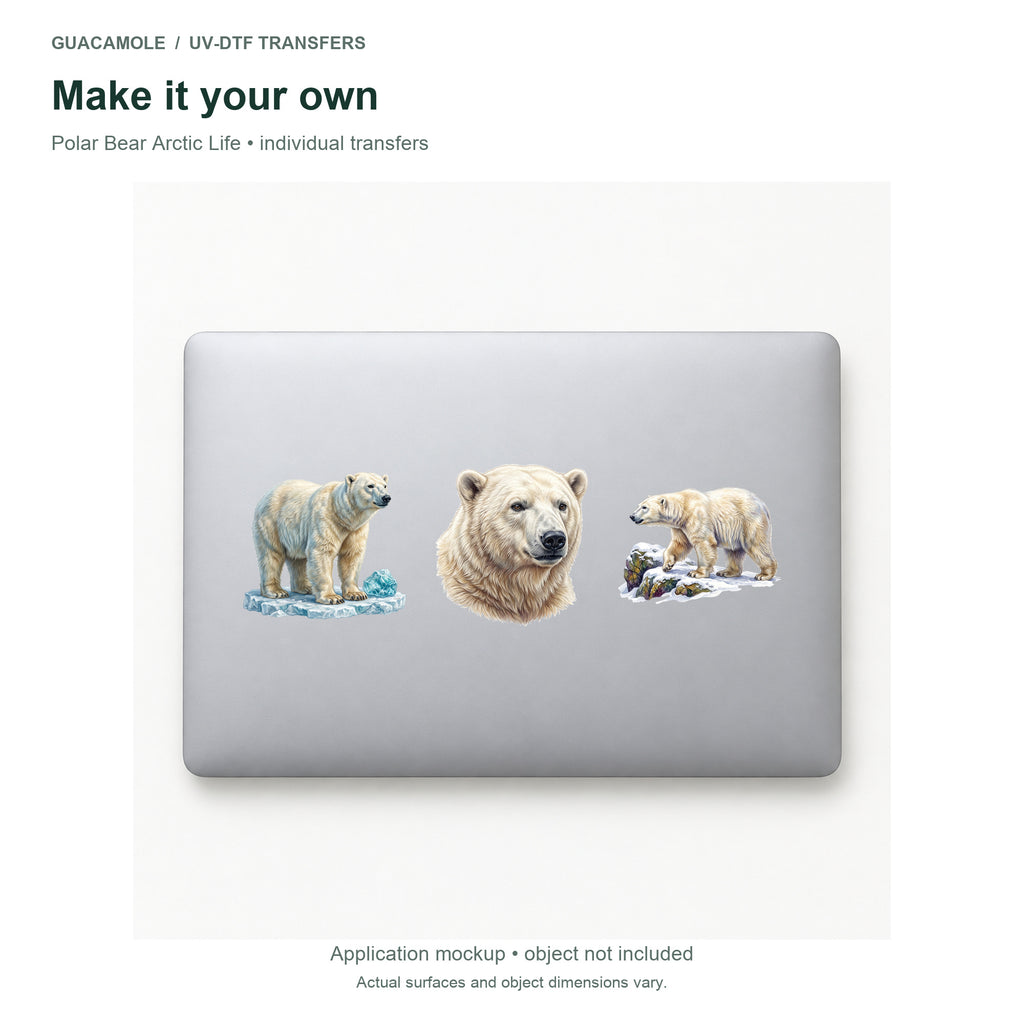 Polar Bear Arctic Life — Three designs on a laptop
