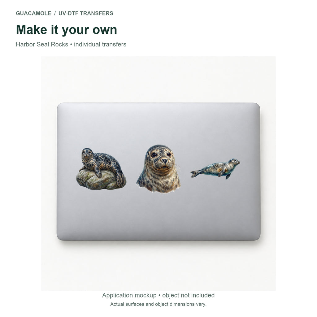 Harbor Seal Rocks — Three designs on a laptop