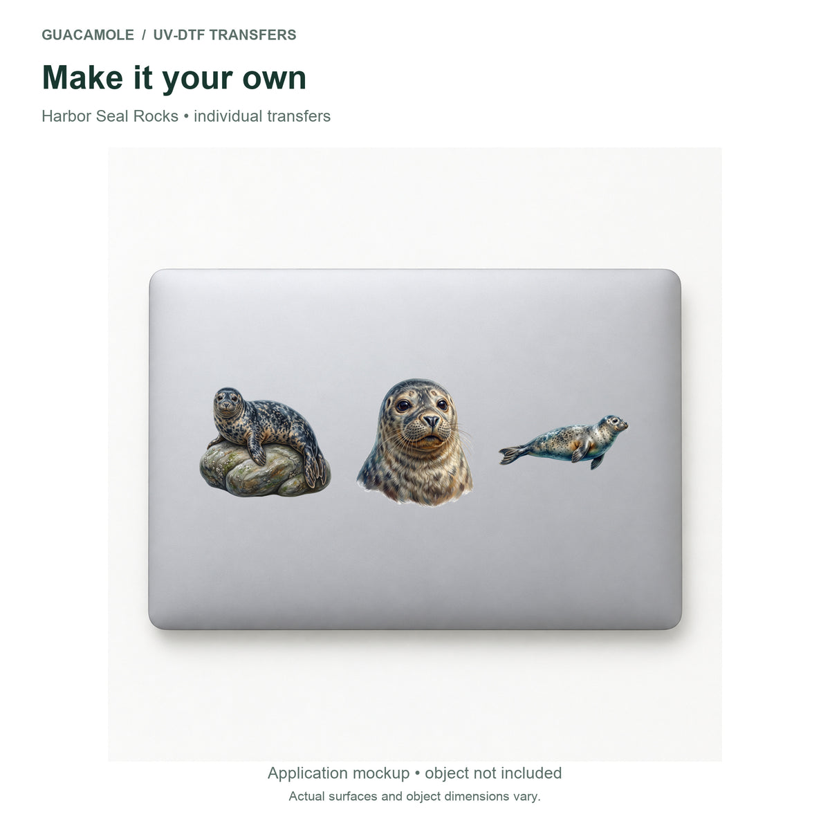 Harbor Seal Rocks — Three designs on a laptop