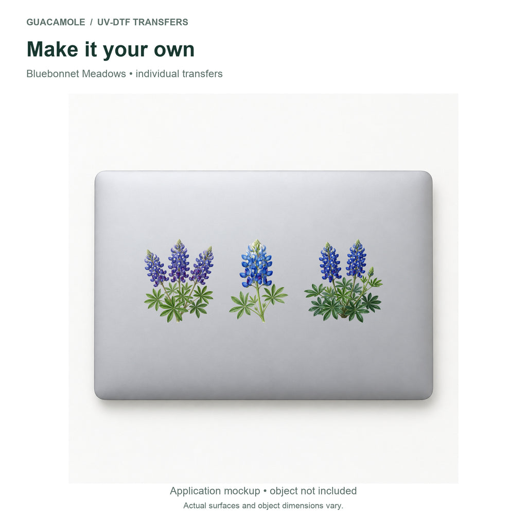 Bluebonnet Meadows — Three designs on a laptop