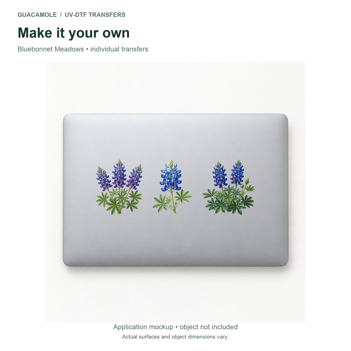 Bluebonnet Meadows — Three designs on a laptop