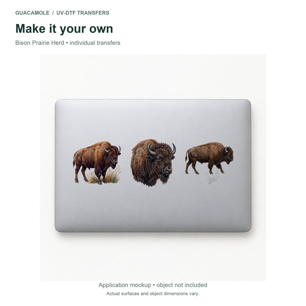 Bison Prairie Herd — Three designs on a laptop