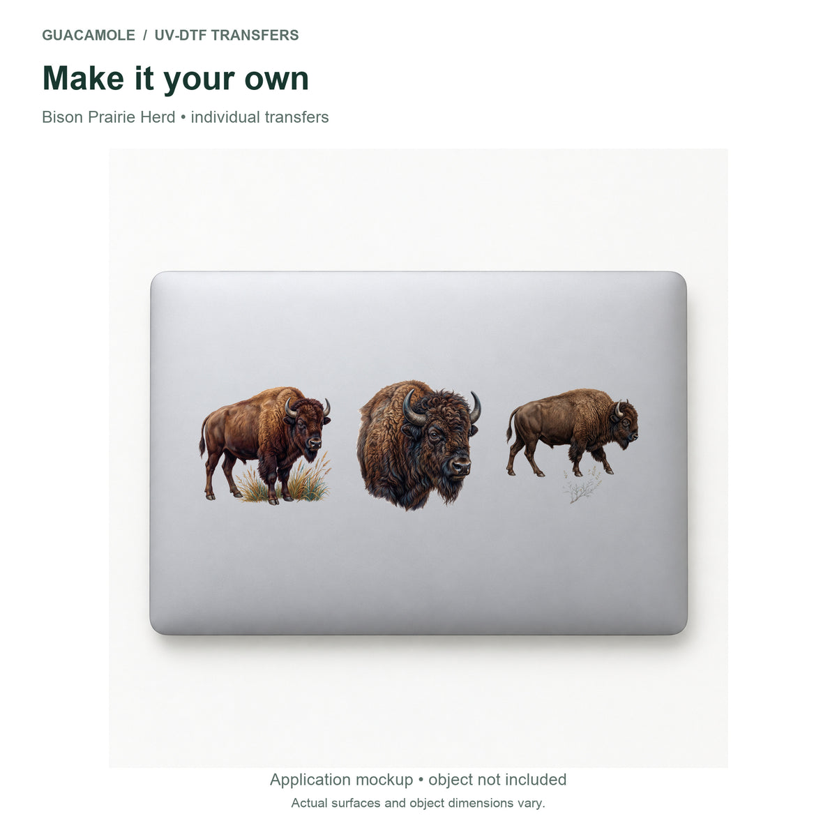 Bison Prairie Herd — Three designs on a laptop
