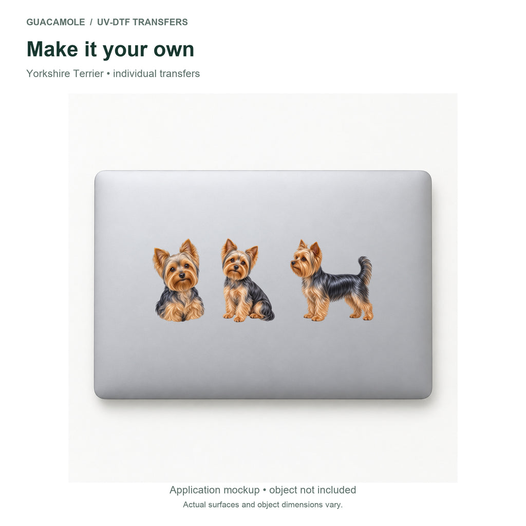 Yorkshire Terrier — Three designs on a laptop