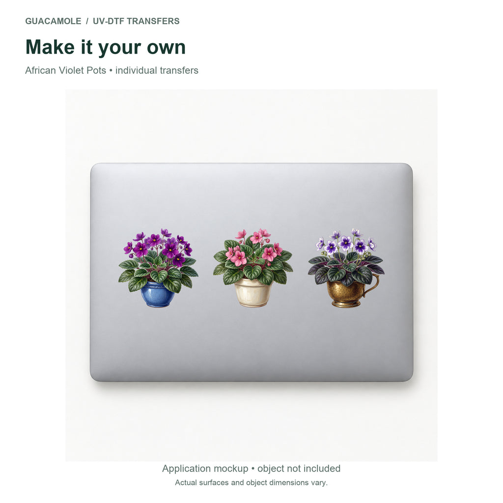 African Violet Pots — Three designs on a laptop