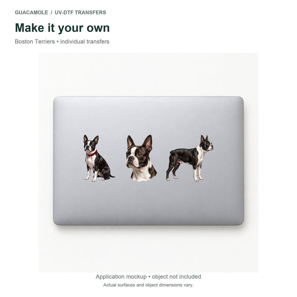 Boston Terriers — Three designs on a laptop