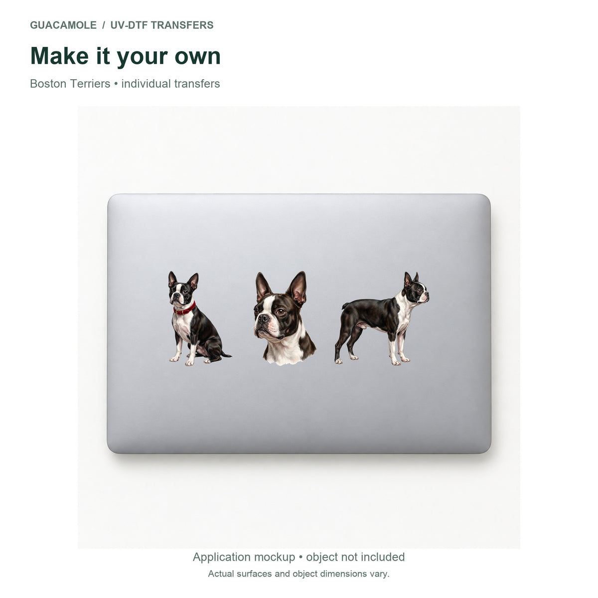 Boston Terriers — Three designs on a laptop