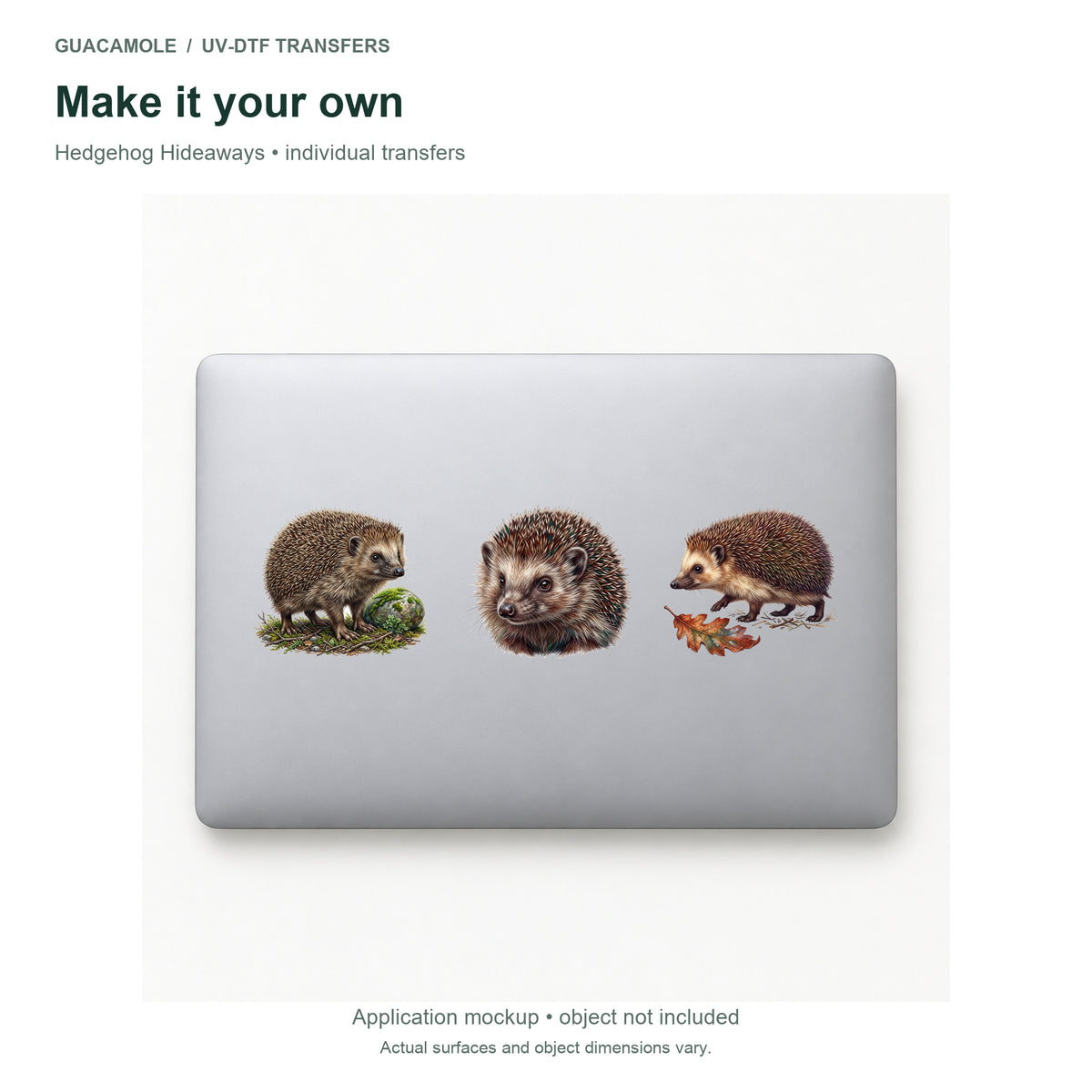 Hedgehog Hideaways — Three designs on a laptop